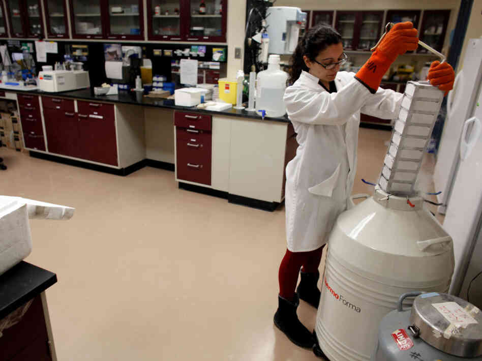 Obama Executive Order Lifts Strict Limits On Stem Cell Research Obama Executive Order Lifts Strict Limits On Stem Cell Research